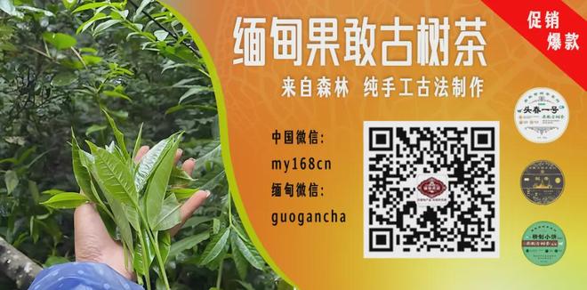 申花刚开始中超间歇期集训合练！就提前收到一个喜讯，值得期待
