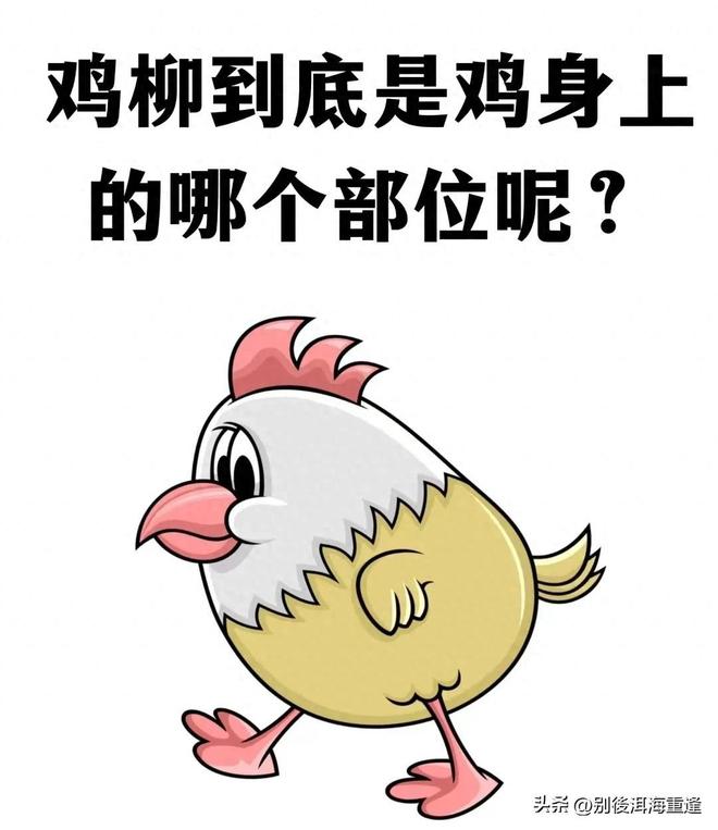 上海队做出了1个重要的决定！