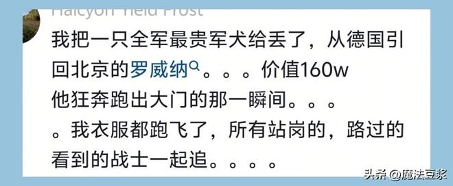 温网“一轮游”延续低迷状态，下半年郑钦文“一场一场来”