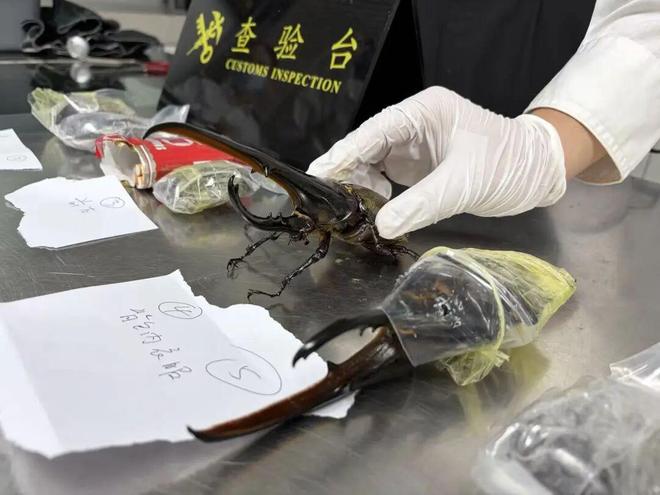 知情人曝敬一丹病程：挺过18天凶险期，会自主呼吸，差一步能醒