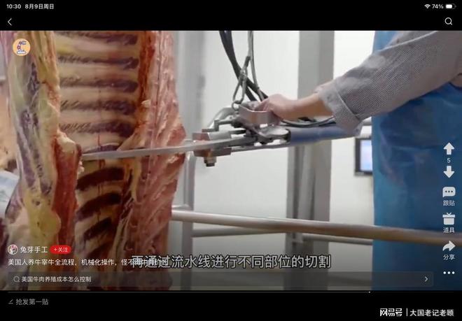 约基奇34+13文班18+5！法国压哨绝杀塞尔维亚：拒绝19分大逆转