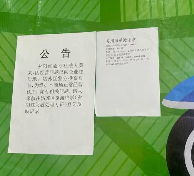 郑钦文拉杜退赛，王欣瑜遭逆转张帅复仇，弗里茨加冕佩古拉吞蛋