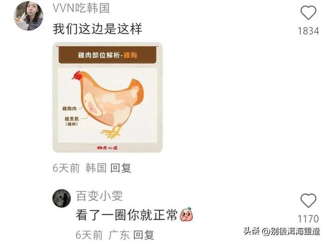 巴西vs摩洛哥:维尼修斯、阿什拉夫领衔,卜拉欣、拉菲尼亚首发