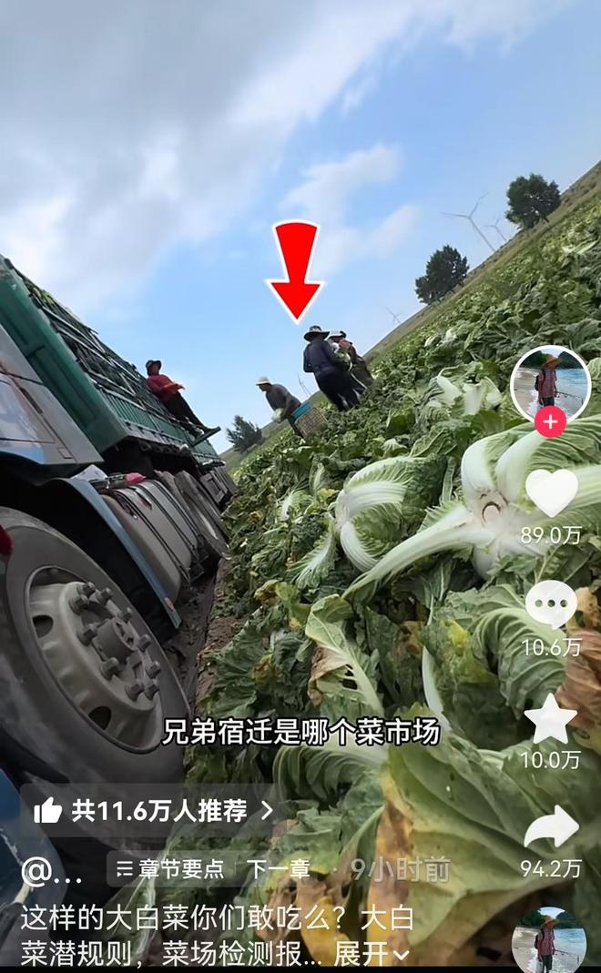 莫拉塔自曝无缘世界杯：我知道自己不配，已学会接受