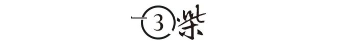 李连杰两千金完美复刻母亲基因，颜值十分出众